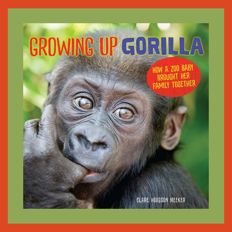 Growing Up Gorilla Blog Tour